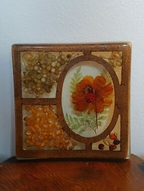 Vintage MCM 1970's Lucite Trivet Resin Epoxy Cork Pressed Flowers Seeds Corn